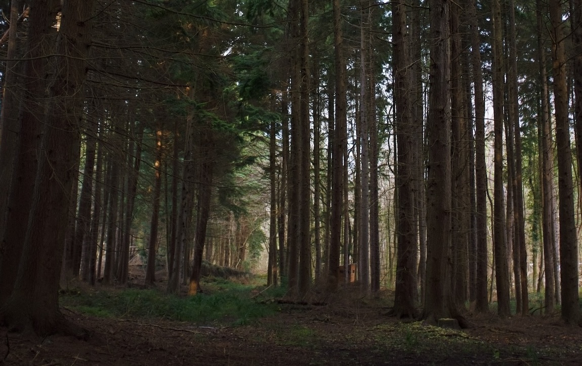 Processed with VSCO with l1 preset