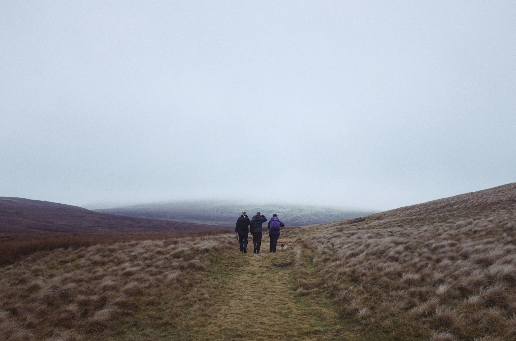 Before the worst of the weather, near Dockray